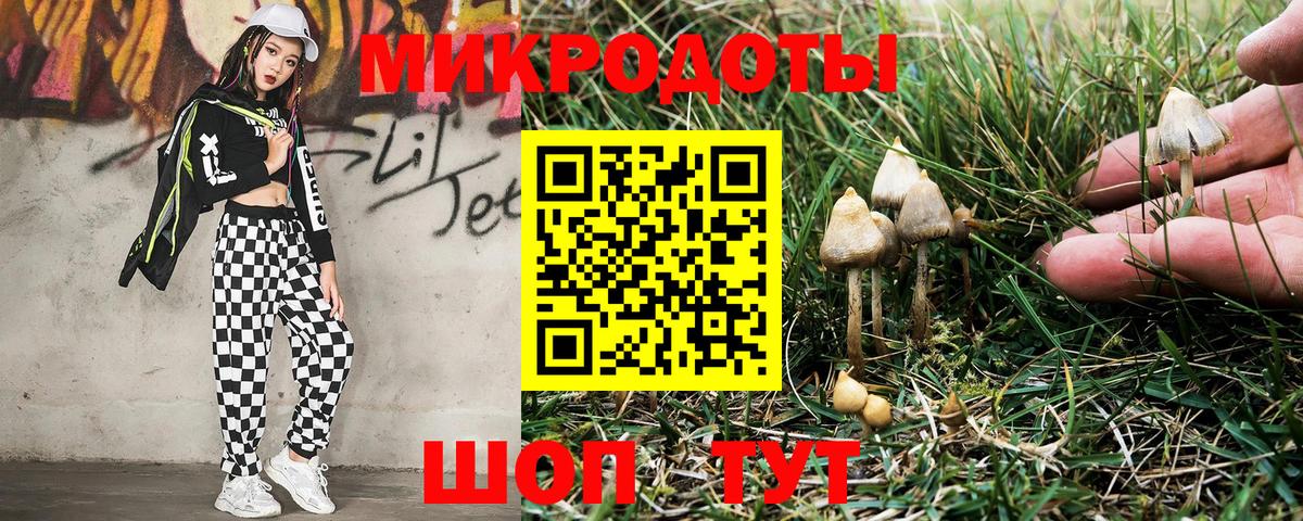 купить наркоту  Псилоцибиновые грибы прущие грибы  Вход с VPN  Похвистнево 